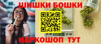 соль ск Можга