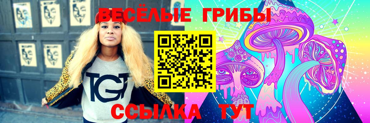 Галлюциногенные грибы Cubensis Воркута
